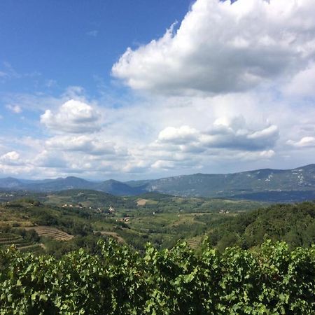 DornberkKraljic - Primoz Cotar住宿加早餐旅馆 外观 照片